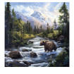 Wilderness