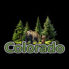 Bear Encounter Bear Encounter