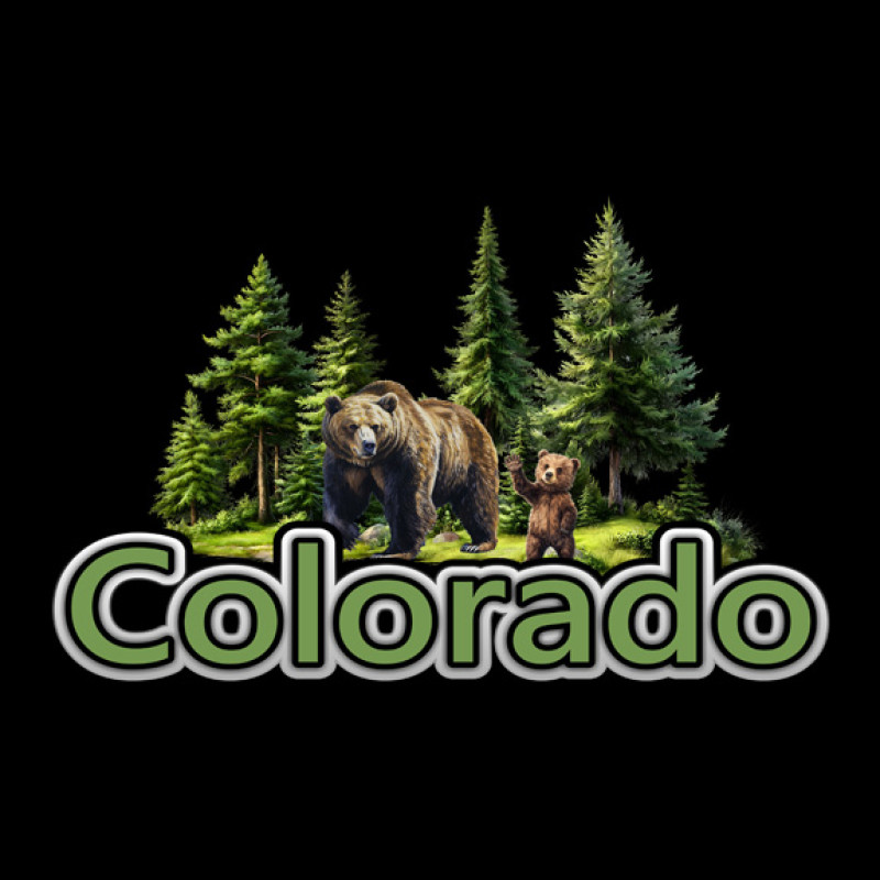 Bear Encounter Bear Encounter