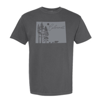 Colorado Bears and Pine Trees