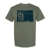 Colorado Bears and Pine Trees Colorado Bears and Pine Trees