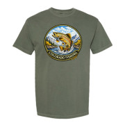 Colorado Brown Trout Fishing