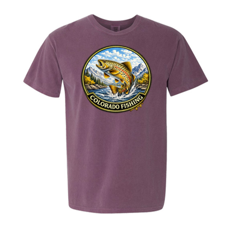 Colorado Brown Trout Fishing