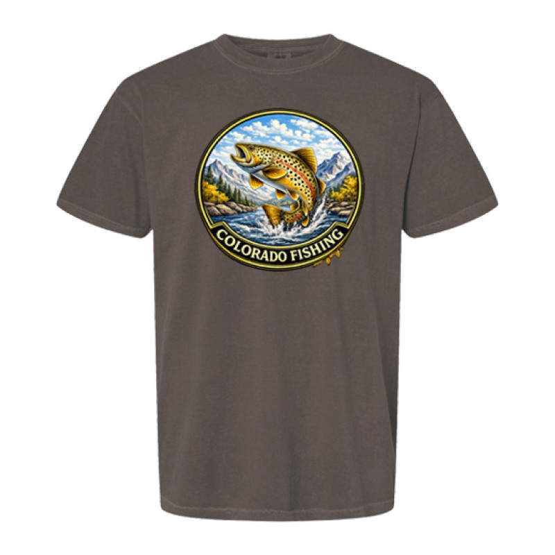 Colorado Brown Trout Fishing