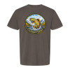 Colorado Brown Trout Fishing
