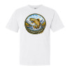 Colorado Brown Trout Fishing