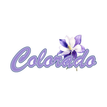 Colorado Columbine