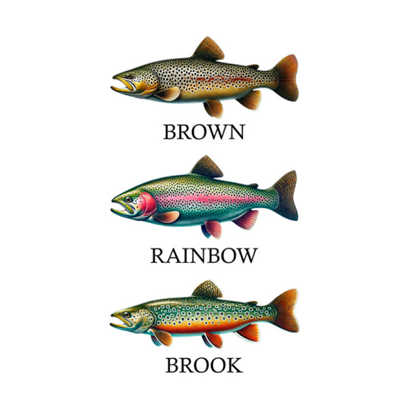 Trout Trout