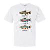 Trout Trout