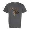 Broadheads and Bullets Broadheads and Bullets