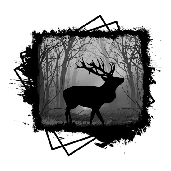 Elk in forest