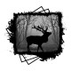 Elk in forest