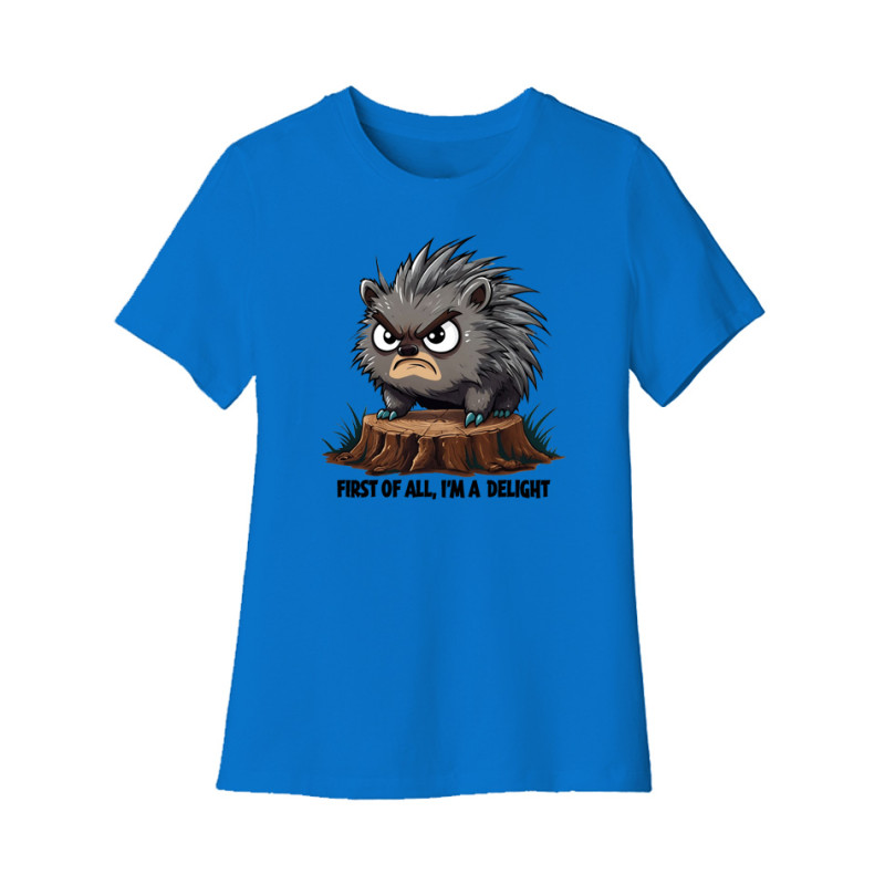 Angry Porcupine Women's Tee