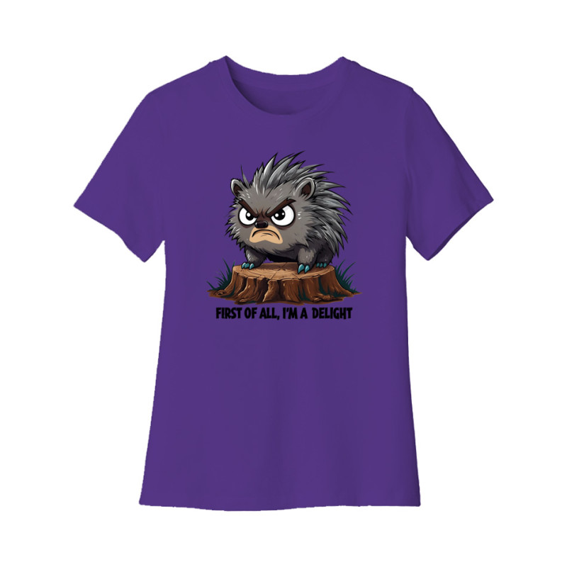Angry Porcupine Women's Tee