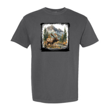 Autumn Moose Sighting