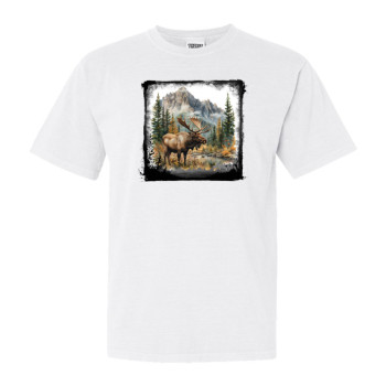 Autumn Moose Sighting