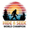Hide and Seek Hide and Seek