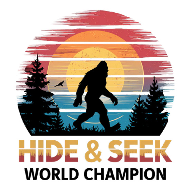 Hide and Seek Hide and Seek