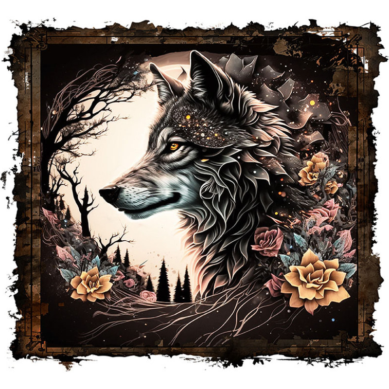 Sigma Wolf Sigma Wolf